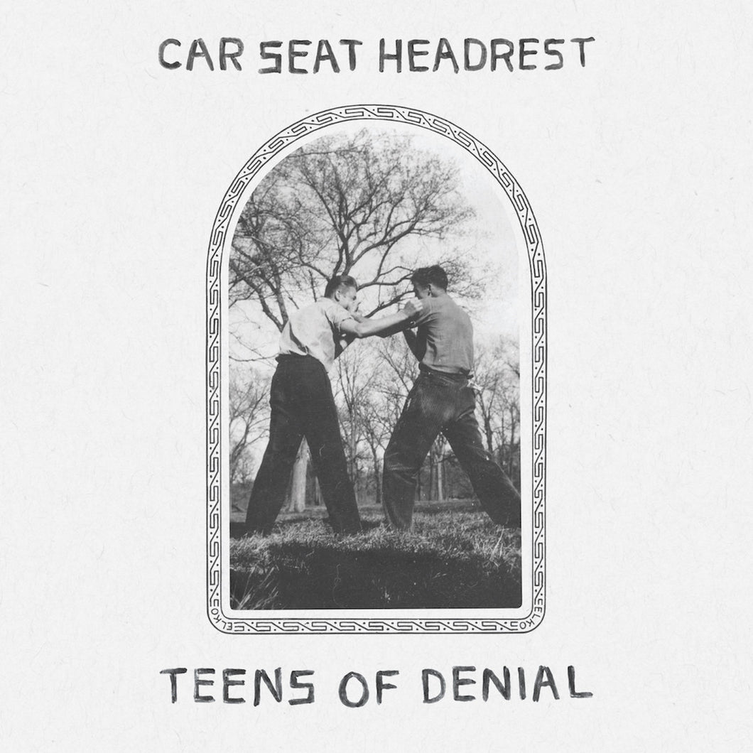 CAR SEAT HEADREST - Teens Of Denial (Vinyle) - Matador