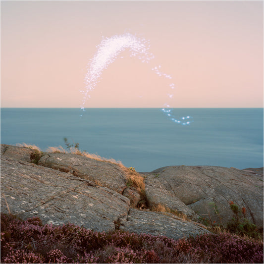 CASSANDRA JENKINS - An Overview On Phenomenal Nature (Vinyle)
