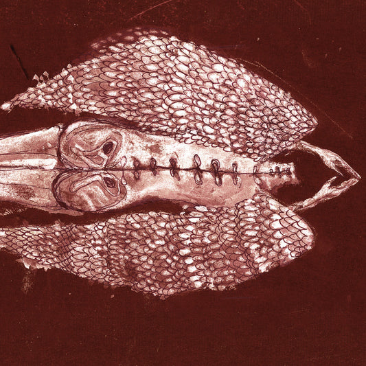CERBERUS SHOAL - Homb (Vinyle)