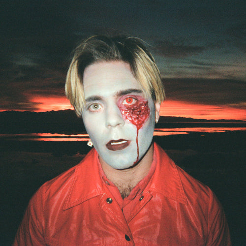 CHOIR BOY - Gathering Swans (Vinyle)