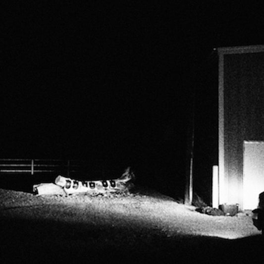 CLOUD NOTHINGS - Last Building Burning (Vinyle) - Carpark