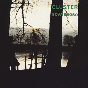 CLUSTER - Sowiesoso (Vinyle)