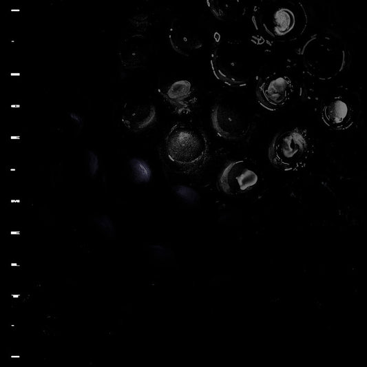 CRUMB - Ice Melt (Vinyle)