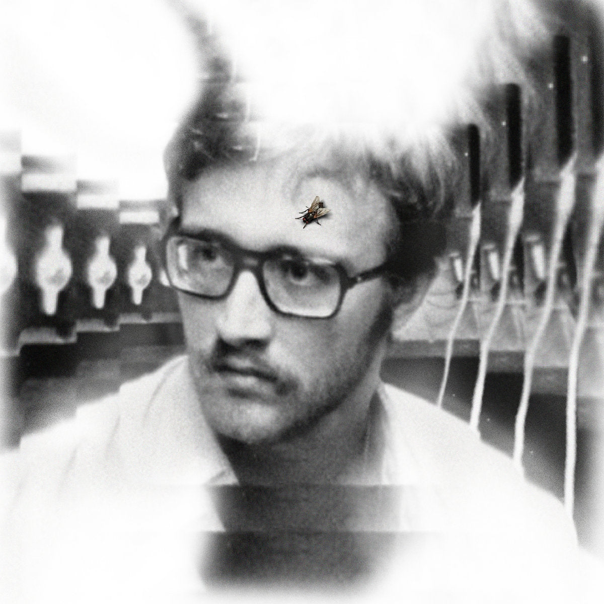 DAMAGED BUG - Bug On Yonkers (Vinyle)