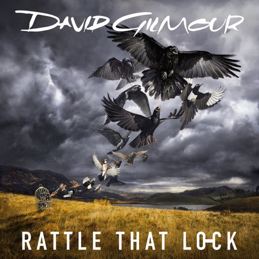 DAVID GILMOUR - Rattle That Lock (Vinyle)