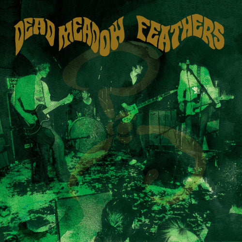 DEAD MEADOW - Feathers (Vinyle)