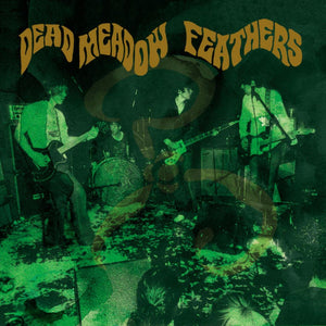 DEAD MEADOW - Feathers (Vinyle)