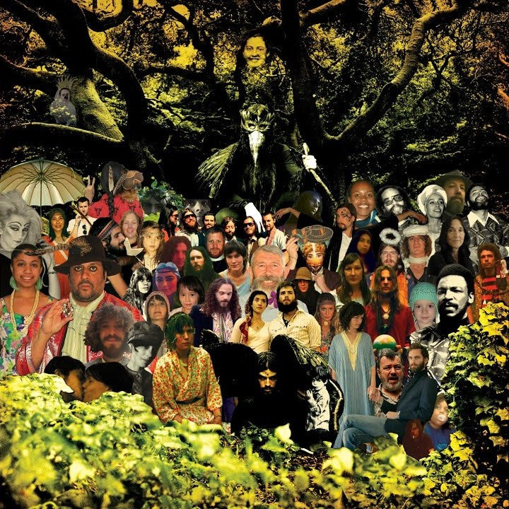 DEVENDRA BANHART - Cripple Crow (Vinyle)