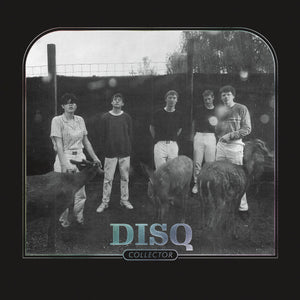 DISQ - Collector (Vinyle) - Saddle Creek