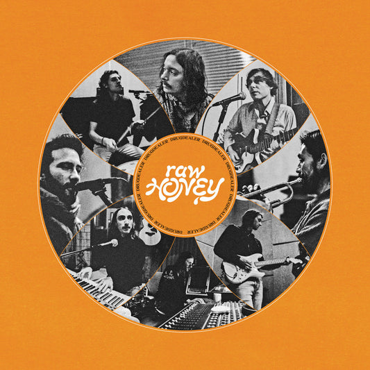 DRUGDEALER - Raw Honey (Vinyle) - Mexican Summer