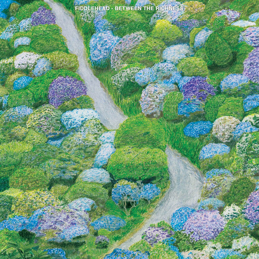 FIDDLEHEAD - Between the Richness (Vinyle)