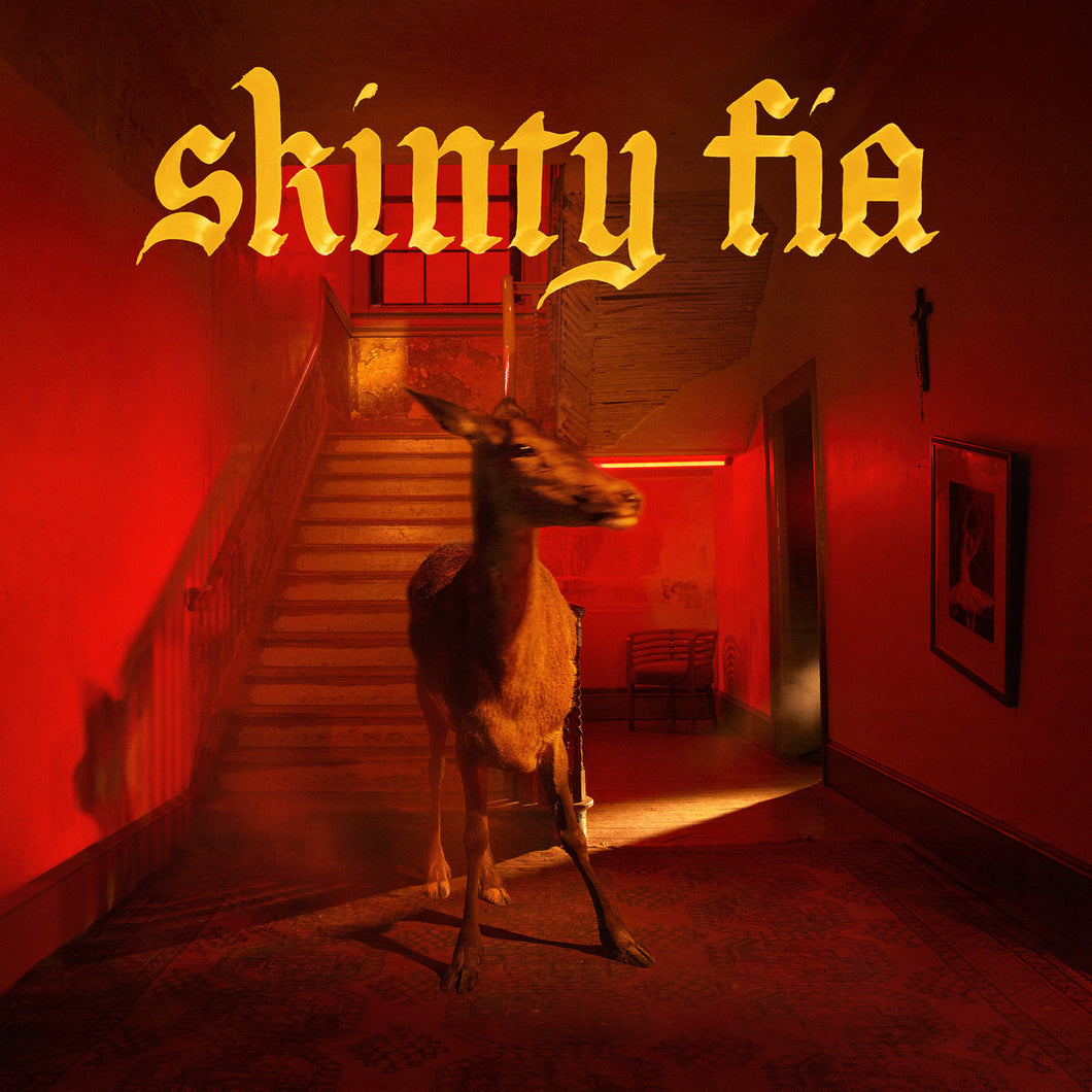 FONTAINES D.C. - Skinty Fia (Vinyle)