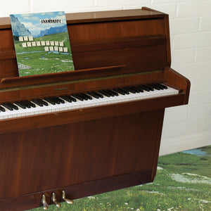 GRANDADDY - The Sophtware Slump ..... On A Wooden Piano (Vinyle)