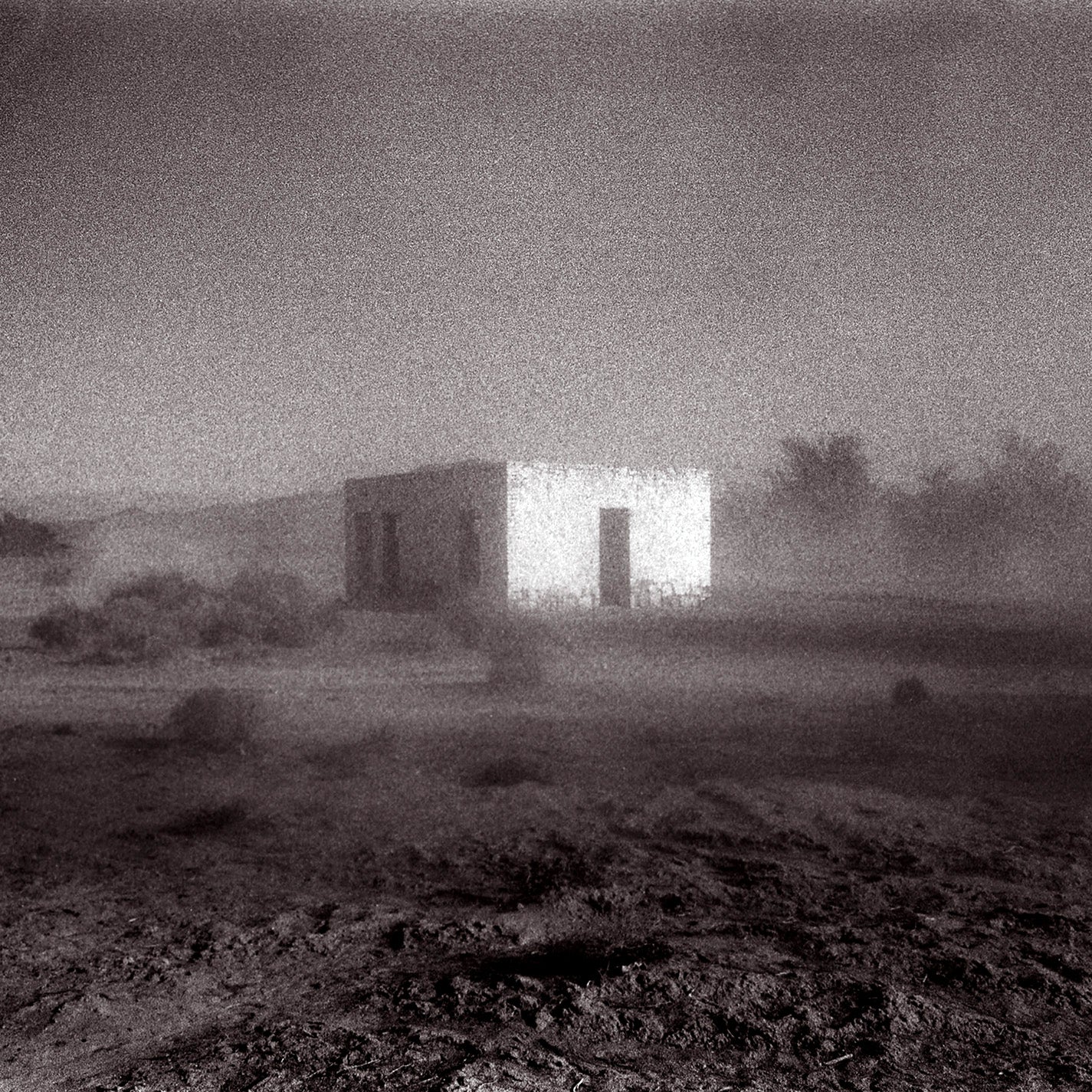 GODSPEED YOU! BLACK EMPEROR -  'Allelujah! Don't Bend Ascend (Vinyle) - Constellation