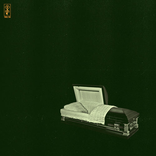 HOLY SONS - Raw and Disfigured (Vinyle)