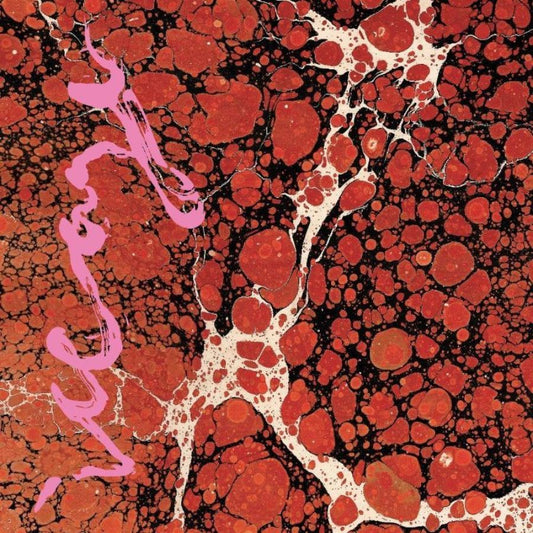 ICEAGE - Beyondless (Vinyle) - Matador