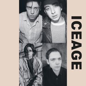 ICEAGE - Shake the Feeling : Outtakes & Rarities 2015–2021 (Vinyle)