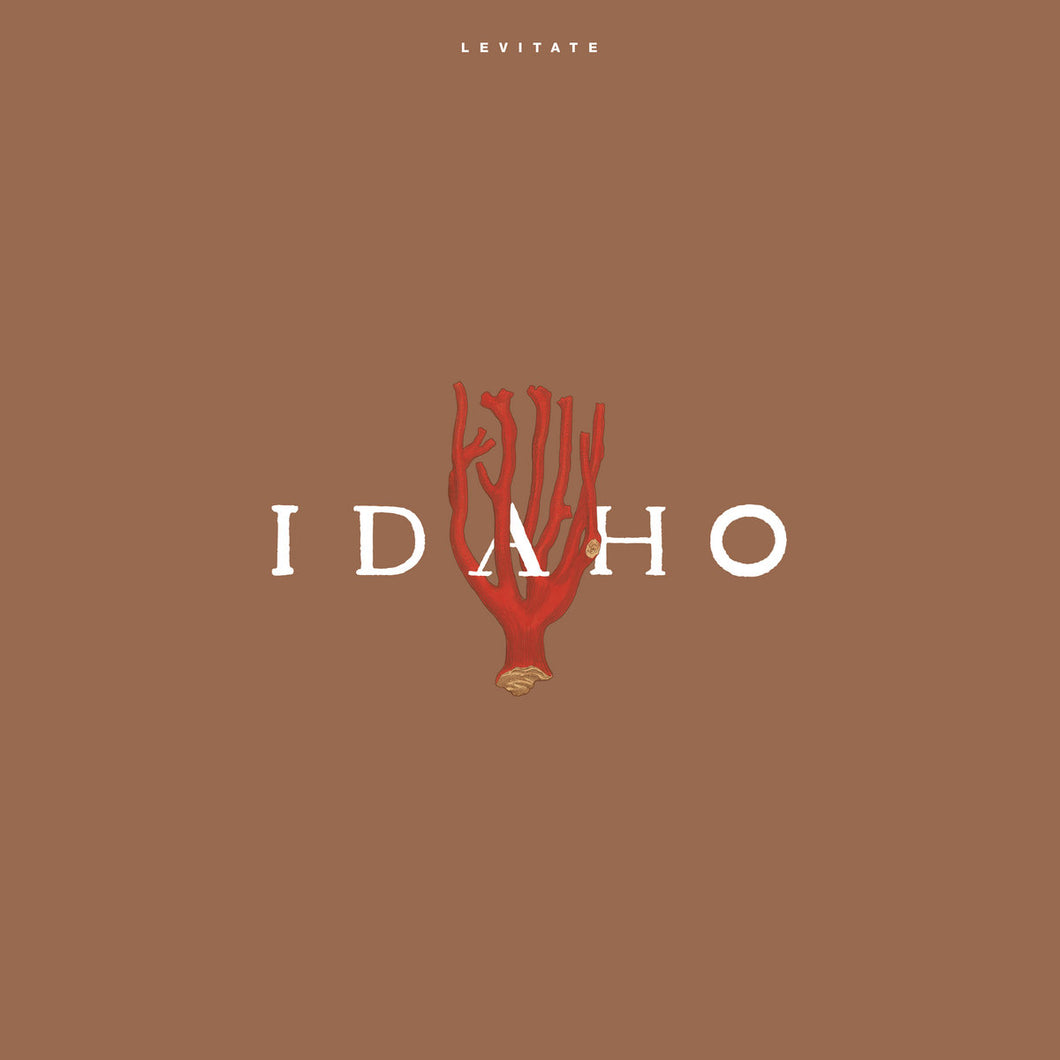 IDAHO - Levitate (Vinyle)