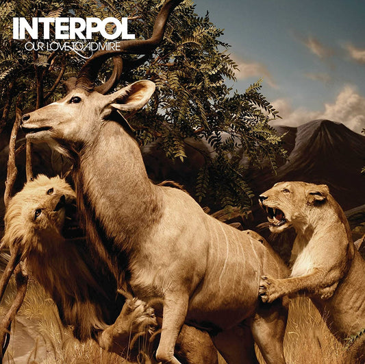 INTERPOL - Our Love to Admire (Vinyle)