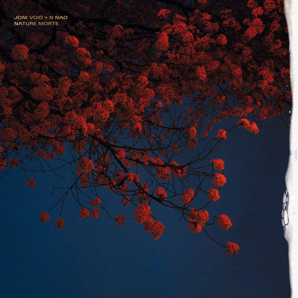 JONI VOID + N NAO - Nature Morte (Vinyle)