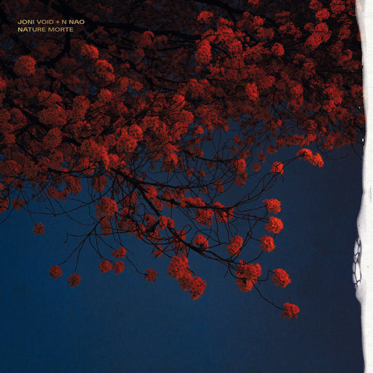 JONI VOID + N NAO - Nature Morte (Vinyle)