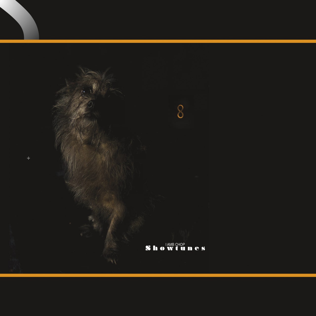 LAMBCHOP - Showtunes (Vinyle) - Le Vacarme