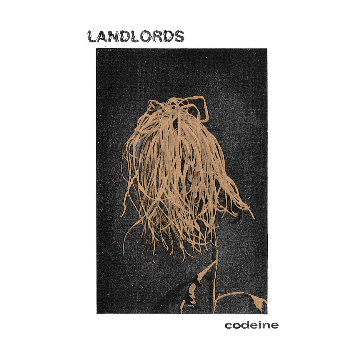 LANDLORDS - Codeine (Vinyle)