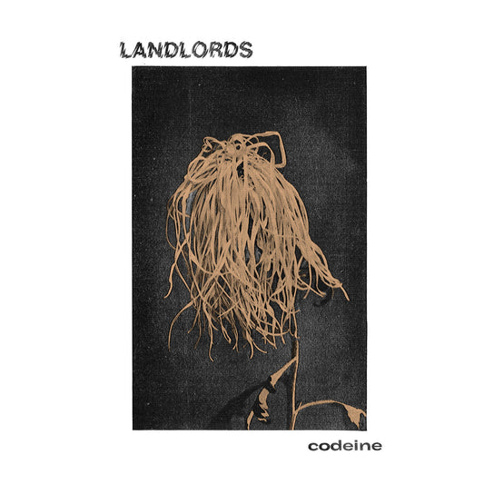 LANDLORDS - Codeine (Vinyle)