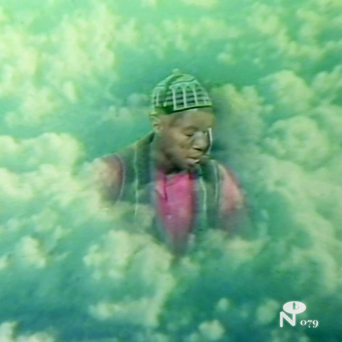 LARAAJI - Vision Songs Vol. I (Vinyle)