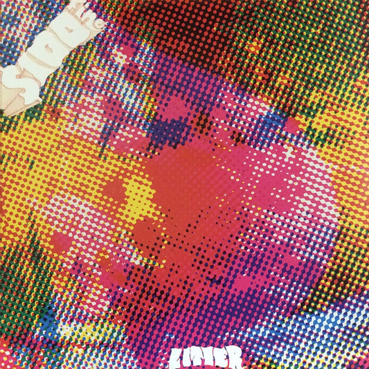 THE LITTER - $100 Fine (Vinyle)