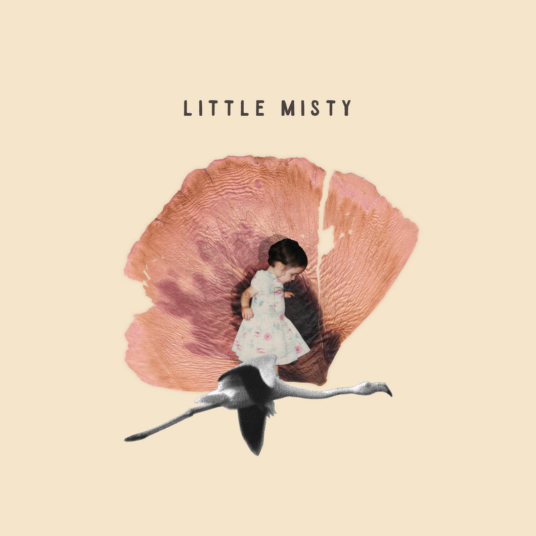 LITTLE MISTY - Little Misty (Vinyle)