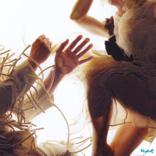 LUMP - Animal (Vinyle)