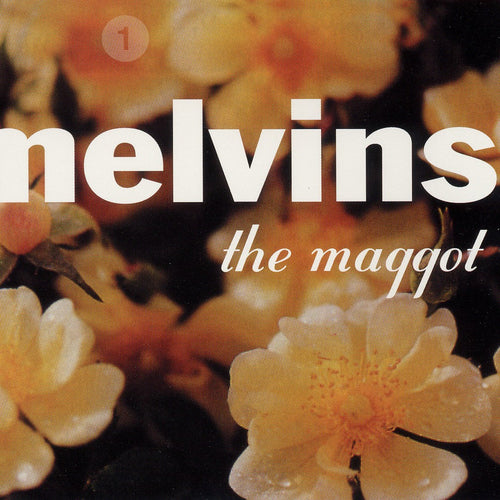 MELVINS - The Maggot & The Bootlicker (Vinyle)