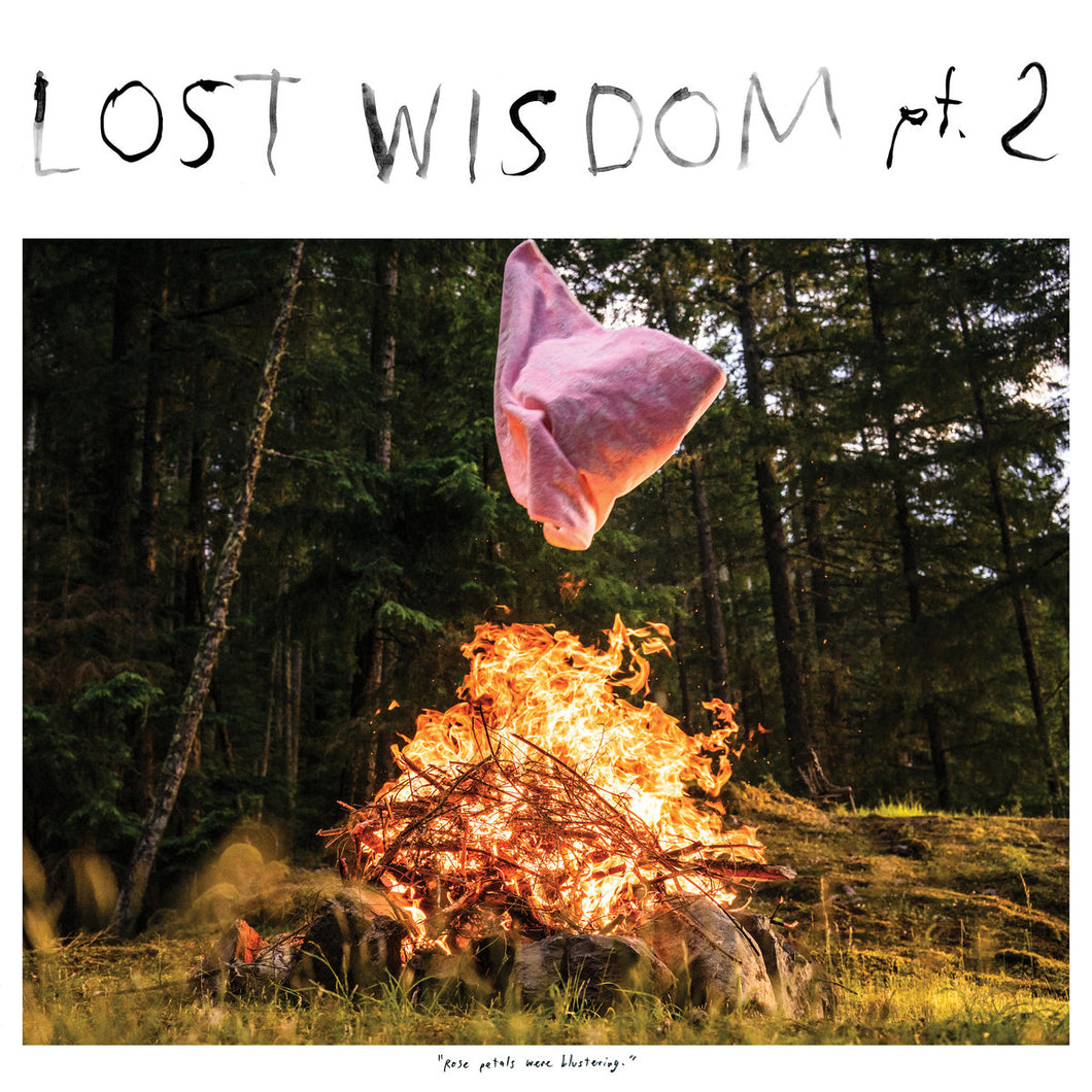 MOUNT EERIE & JULIE DOIRON - Lost Wisdom pt. 2 (Vinyle) - P.W. Elverum & Sun