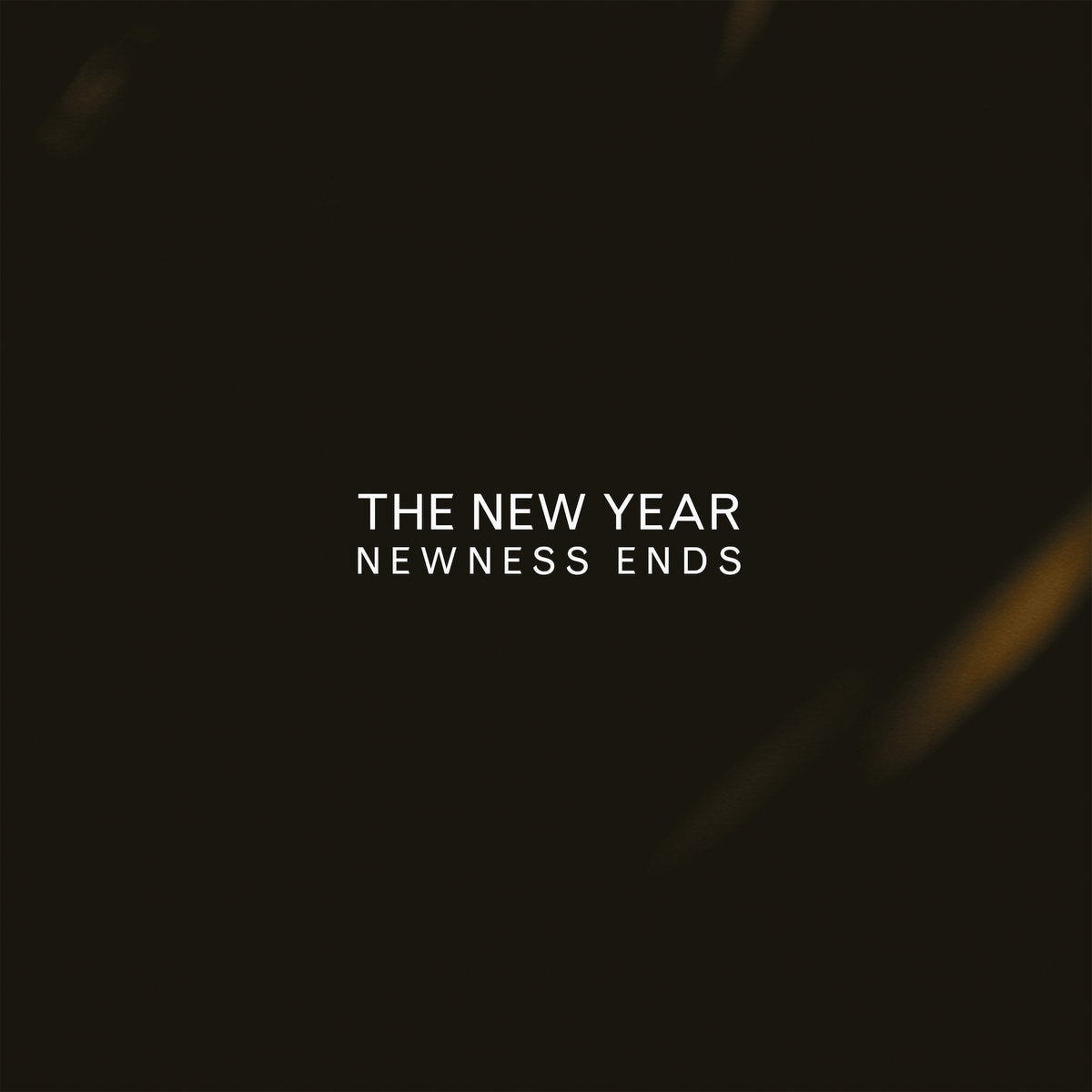 THE NEW YEAR - Newness Ends (Vinyle)