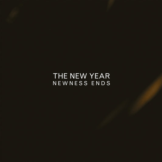 THE NEW YEAR - Newness Ends (Vinyle)