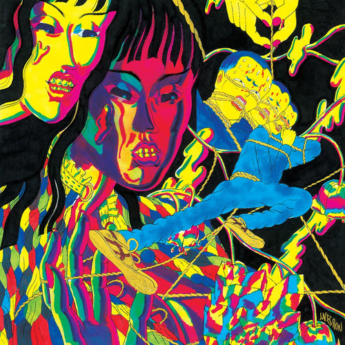 THEE OH SEES - Drop (Vinyle)