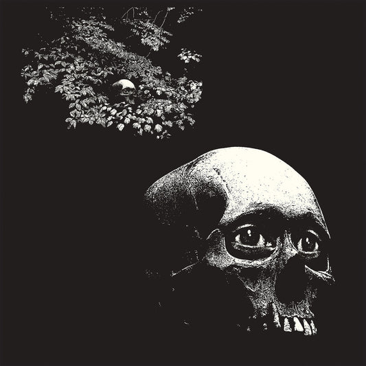 OSEES - A Foul Form (Vinyle)