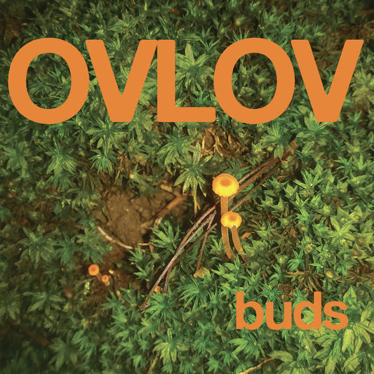 OVLOV - Buds (Vinyle)
