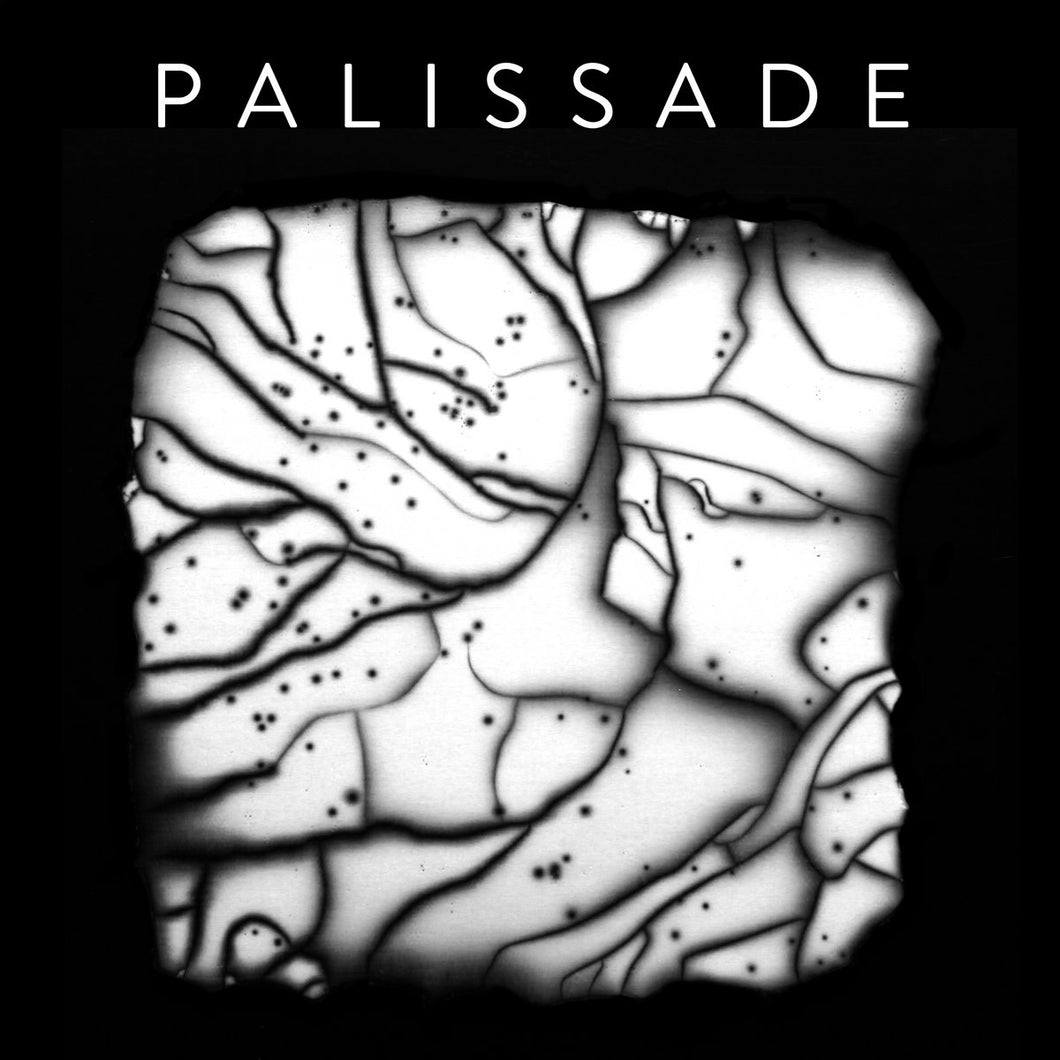 PALISSADE - Palissade (Vinyle)