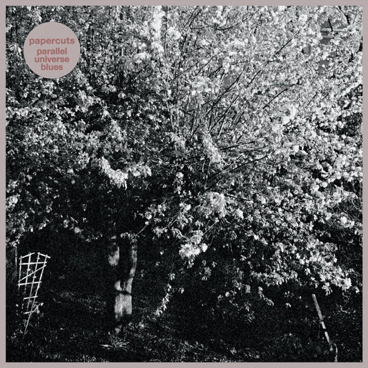 PAPERCUTS - Parallel Universe Blues (Vinyle) - Slumberland