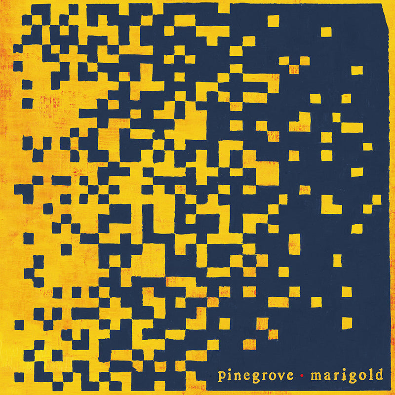 PINEGROVE - Marigold (Vinyle) - Rough Trade