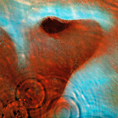 PINK FLOYD - Meddle (Vinyle)