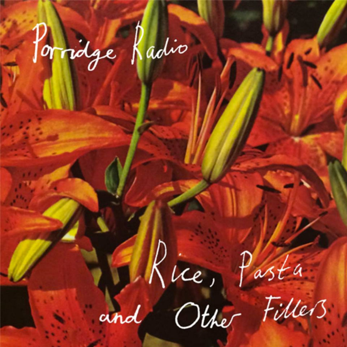 PORRIDGE RADIO - Rice, Pasta And Other Fillers (Vinyle)