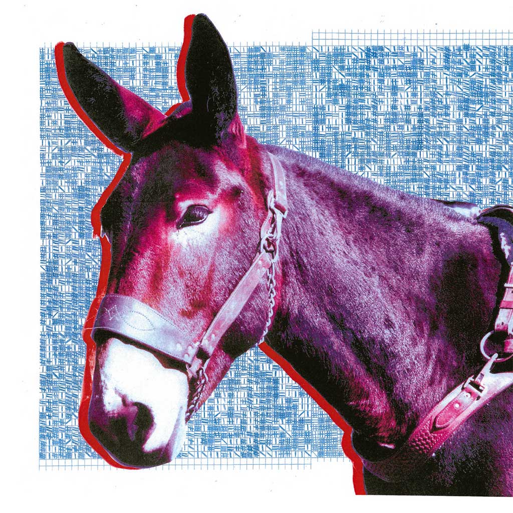 PROTOMARTYR - Ultimate Success Today (Vinyle)
