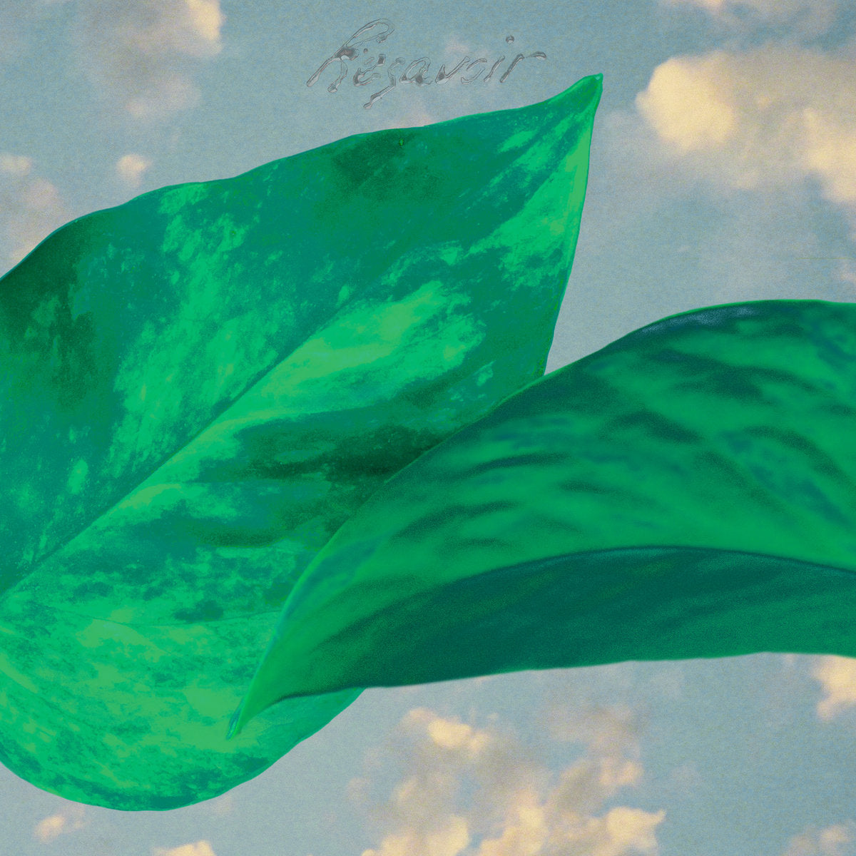 RESAVOIR - Resavoir (Vinyle)