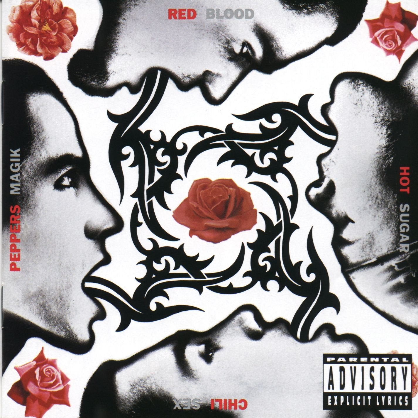 RED HOT CHILI PEPPERS - Blood Sugar Sex Magik (Vinyle) - Warner Bros.