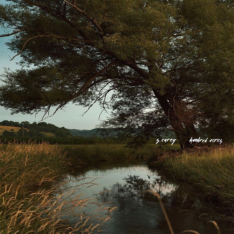S. CAREY - Hundred Acres (Vinyle) - Jagjaguwar