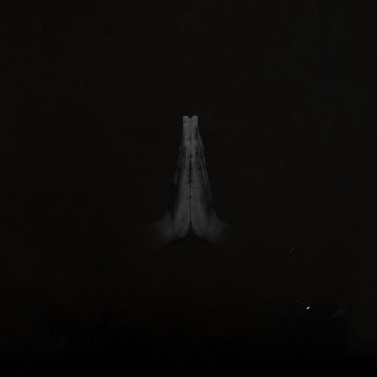 SAULT - Rise (Vinyle)