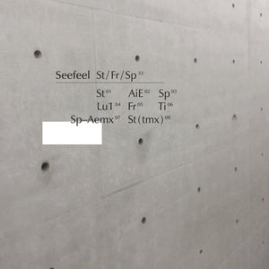SEEFEEL - St/Fr/Sp (Vinyle)